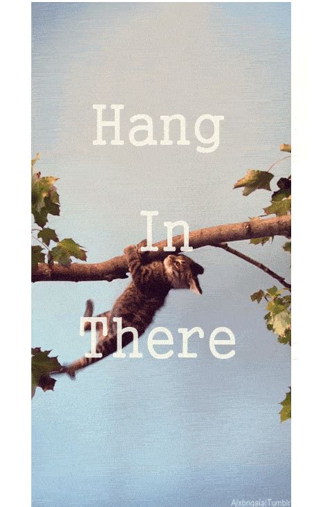 hang in there gif|funny hanging in there pictures.